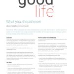 Gdm Whatyoushouldknow Carbonmonoxide 1 845x1024 1920w